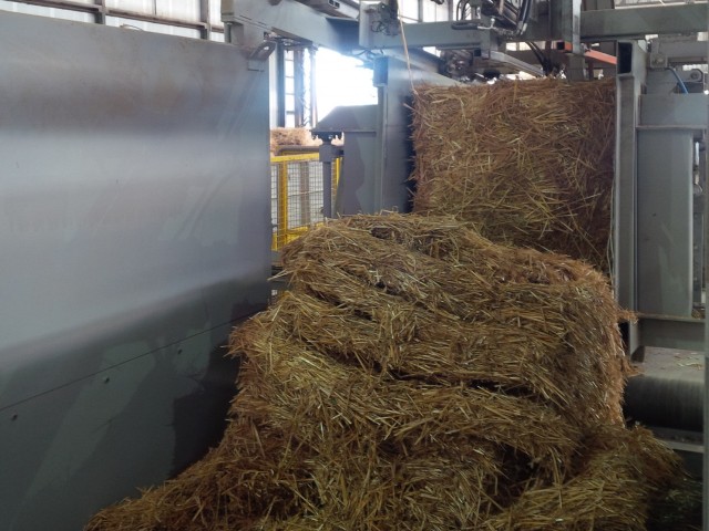 Bioetanolo cellulosico 1 11