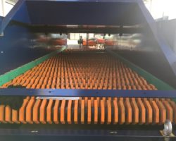 VAGLIO STELLARE VAGLIO STELLARE