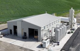 Siena_Digestore 2 Siena_Digestore 2